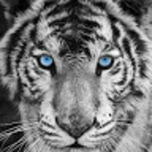 Meet your Posher, Derek